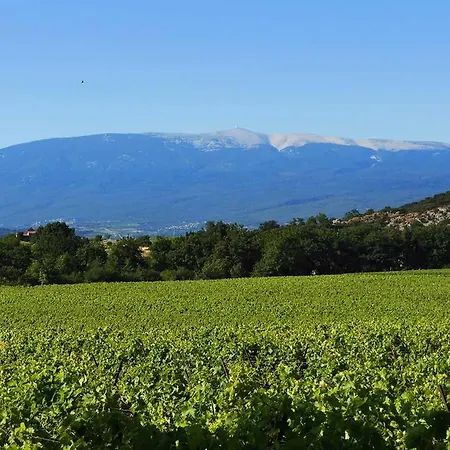 De Charme Piscine Et En Provence